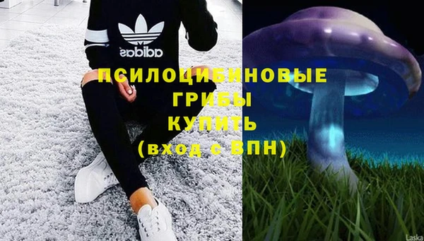герыч Карпинск